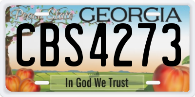 GA license plate CBS4273