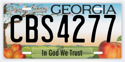 GA license plate CBS4277