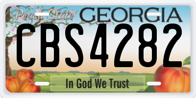GA license plate CBS4282
