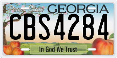 GA license plate CBS4284
