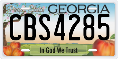 GA license plate CBS4285