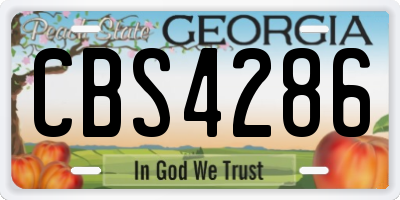 GA license plate CBS4286