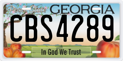 GA license plate CBS4289