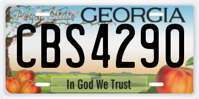 GA license plate CBS4290