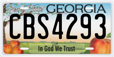 GA license plate CBS4293
