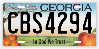 GA license plate CBS4294