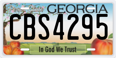 GA license plate CBS4295