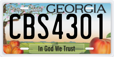 GA license plate CBS4301