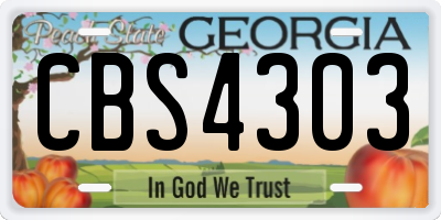GA license plate CBS4303