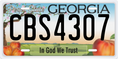 GA license plate CBS4307