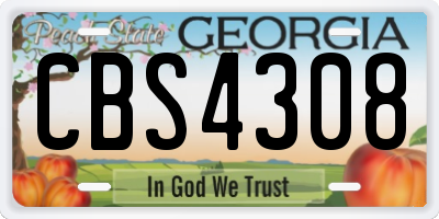 GA license plate CBS4308