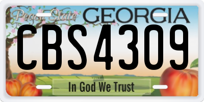 GA license plate CBS4309