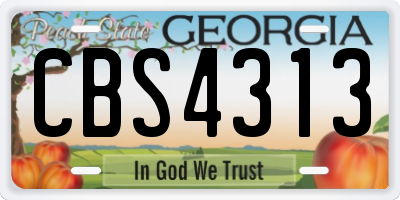 GA license plate CBS4313