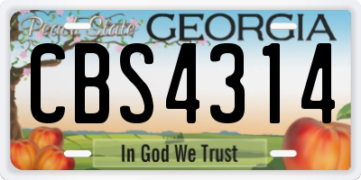 GA license plate CBS4314