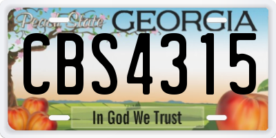 GA license plate CBS4315