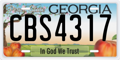 GA license plate CBS4317