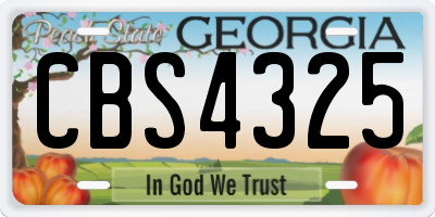 GA license plate CBS4325