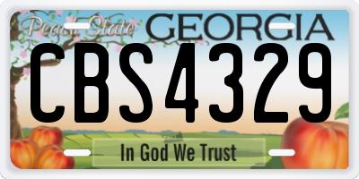GA license plate CBS4329