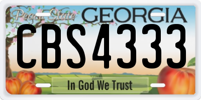GA license plate CBS4333
