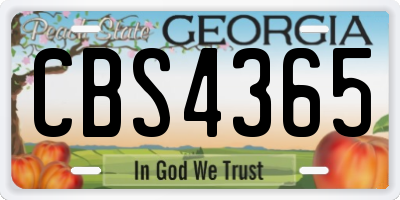 GA license plate CBS4365