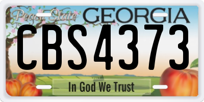 GA license plate CBS4373