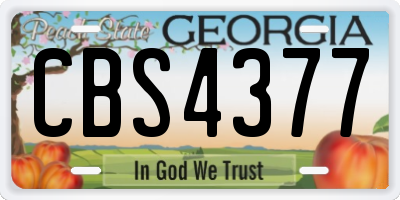 GA license plate CBS4377