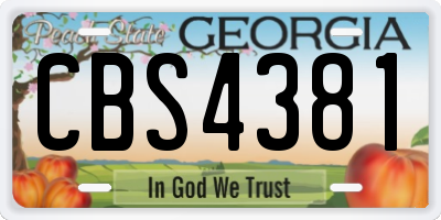 GA license plate CBS4381