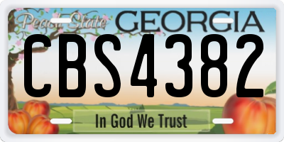 GA license plate CBS4382