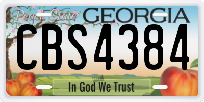 GA license plate CBS4384