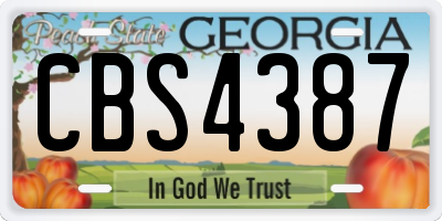 GA license plate CBS4387