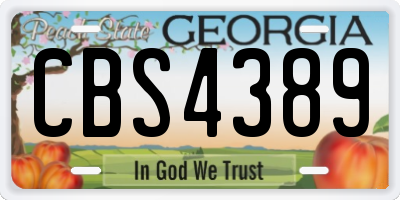 GA license plate CBS4389