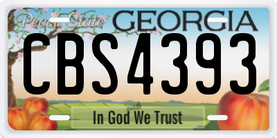 GA license plate CBS4393
