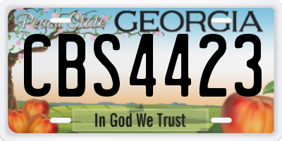 GA license plate CBS4423