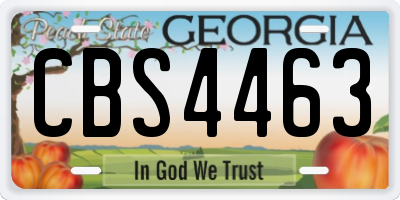 GA license plate CBS4463