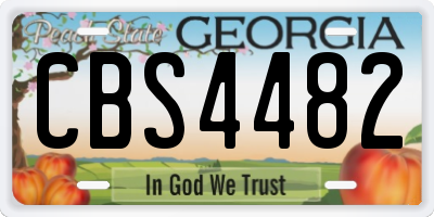 GA license plate CBS4482