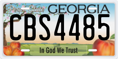 GA license plate CBS4485