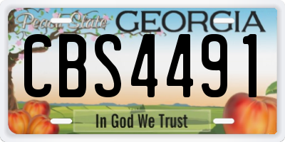 GA license plate CBS4491