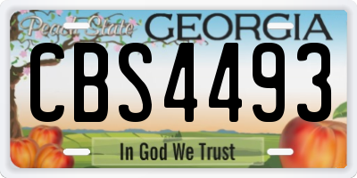 GA license plate CBS4493