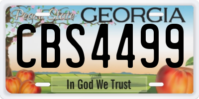 GA license plate CBS4499