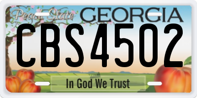 GA license plate CBS4502