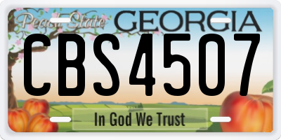 GA license plate CBS4507