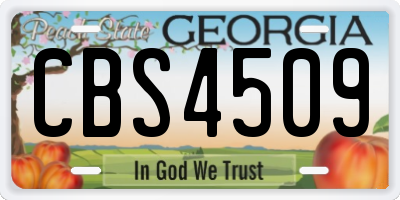GA license plate CBS4509