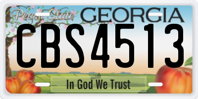 GA license plate CBS4513