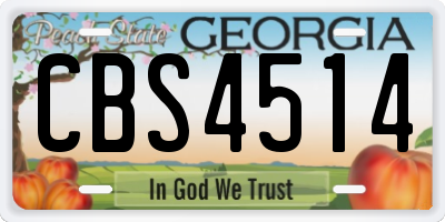 GA license plate CBS4514