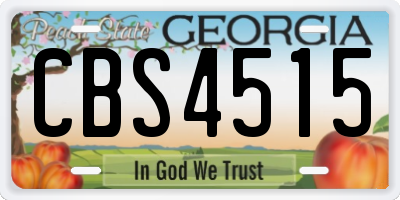 GA license plate CBS4515