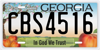 GA license plate CBS4516