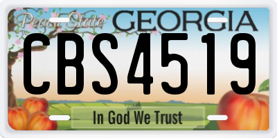 GA license plate CBS4519