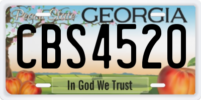 GA license plate CBS4520