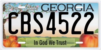 GA license plate CBS4522