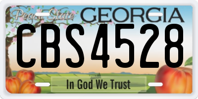 GA license plate CBS4528